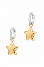 Stainless Steel Mix Colour Earring