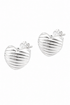 Stainless Steel Silver Earring