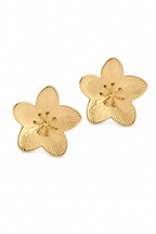 Stainless Steel Gold Earring