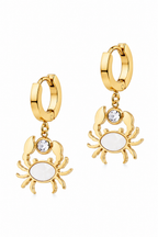 Stainless Steel White Earring