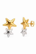 Stainless Steel Mix Colour Earring
