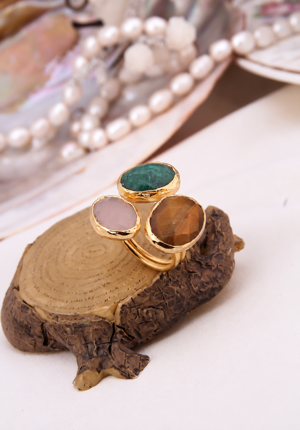 Ring Main image