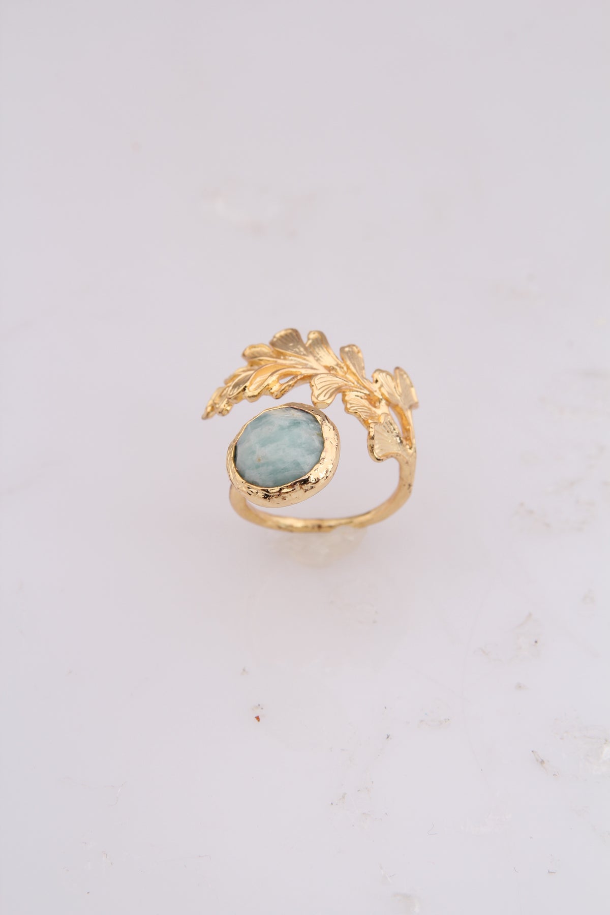 Ring Main image
